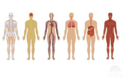 How Much Do You Know About Your Body?