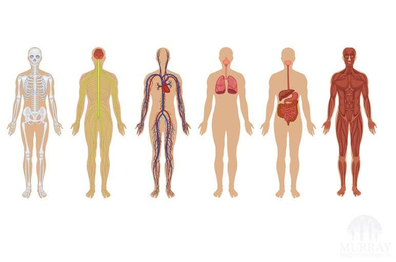 How Much Do You Know About Your Body?